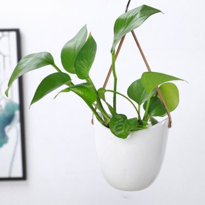 Creative Ceramic Plant Hanging Pots Garden Decoration